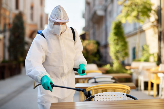 Pest Control Myths That Are Quietly Costing You More Money